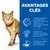 AVANTAGES CLÉS : mélange d’ingrédients pour fonctions cérébrales, oméga-3 et 6 pour peau et pelage, ingrédients et fibres pour digestion. Chat roux à collier visible à gauche.