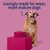 Text reads: Lovingly made for wiser, more mature dogs. An older dog sits beside a bowl of dry food, highlighting suitability for senior dogs.
