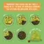 Feeding guide showing how to gradually switch guinea pig food over 14–28 days, with weekly bowl images reducing old food and increasing new food, plus reminder not to forget the hay.