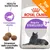 ROYAL CANIN Regular Sterilised 7+, complesso vitalità, dimensioni della crocchetta adattate, Top Seller, immagine di un gatto nero su confezione bianca e viola. ROYAL CANIN Regular Sterilised 7+, complesso vitalità, dimensioni della crocchetta adattate, Top Seller, immagine di un gatto nero su confezione bianca e viola.