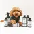 kooa Pflegeprodukte für Haustiere, darunter Shampoos, Sprays und Schaum in grünen Flaschen mit weissem Etikett.