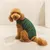 Perro pequeño y marrón con abrigo verde sin mangas y cremallera, sobre suelo claro.