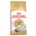 Ragdoll Adult (2 x 10 kg)