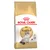 Royal Canin Adult Ragdoll cat food, specially for Ragdoll cats. Packaging shows a Ragdoll cat and highlights healthy skin and coat care.