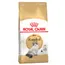 Royal Canin Ragdoll Adult - 2 x 2 kg