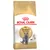 Royal Canin Adult British Shorthair cat food, tailored for muscle tone and customised nutrition. Packaging shows a grey cat.