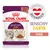 ROYAL CANIN Sensory Taste Soße, 85g, Stückchen in Soße, hergestellt in Österreich. Abbildung einer Katze und Futterstückchen.