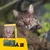 Josera NatureCat Trockenfutter für Katzen, getreidefrei, mit sichtbaren Kroketten. Verpackung zeigt Katze und Produktdetails wie 'Made in Germany' und '89% tierisches Protein'.