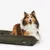 Hundebett in dunkelgrünem Stoff mit sichtbarem Logo 'Nomad Tales'.