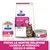 Hill's Prescription Diet Gastrointestinal Biome per gatti, confezioni secco e umido. Testo: Prova le nostre deliziose varietà in formato secco e umido.