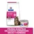 Hill's Prescription Diet Gastrointestinal Biome para gatos, pienso y lata húmeda. Texto: Prueba nuestras deliciosas variedades secas y húmedas.