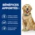 Bénéfices apportés : contribue au maintien du cartilage articulaire, de la masse musculaire et favorise un système immunitaire sain. Chien assis avec collier bleu visible.
