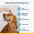 Hassle-free pet oral care with benefits: low maintenance, easier than brushing, easy to use, stress-free, works continuously. Image shows a person touching a dog's head.