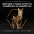 HIGH-QUALITY DAILY NUTRITION for healthy skin and a beautiful coat. WITH OMEGA 3 AND 6 FATTY ACIDS. Text in English. Image of a tabby cat with orange outline and arrows.