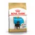 Zak Royal Canin Puppy Rottweiler hondenvoer, afbeelding van een Rottweiler pup en brok, tekst: 'Up to 18 months old', Engelse productinformatie zichtbaar op verpakking.