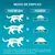Tabla de raciones diarias para gatos: 2–4 kg 30–60 g, 4–6 kg 60–85 g, 6–8 kg 85–115 g. Instrucción: dejar siempre agua limpia y fresca a disposición.