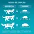 Tabla de raciones diarias para gatos: 4–6 kg, 45–70 g; 6–8 kg, 70–90 g; 8–10 kg, 90–115 g. Instrucción: dejar siempre agua limpia y fresca a disposición.