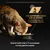 Une nutrition basée sur la science, développée par les vétérinaires Purina. Quand votre chat a 7+ ans passez à notre gamme senior. Purina Pro Plan visible sur la gamelle.