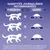 Conseils d’alimentation pour chats : 4–6 kg 45–70 g, 6–8 kg 70–90 g, 8–10 kg 90–115 g par jour. Ajuster selon l’activité et laisser de l’eau propre à disposition.