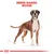 Kuvassa bokseri-rotuinen koira, yläpuolella teksti: BREED RANGE: BOXER. Taustalla mittaviivoja rodun kokoon liittyen.