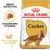 Royal Canin Adult Cocker, croquete feito à medida, pele e pelagem saudáveis. Embalagem de ração para cães com imagem de um cocker spaniel.
