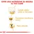 Offri una nutrizione su misura al tuo cane. Salute della pelle e del pelo, funzione cardiaca sana, peso ideale. Offri una nutrizione su misura al tuo cane. Salute della pelle e del pelo, funzione cardiaca sana, peso ideale.