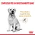 Complesso per un invecchiamento sano. Peso ideale e supporto della massa muscolare. Illustrazione di cane seduto, simbolo muscolo, marchio Royal Canin visibile. Complesso per un invecchiamento sano. Peso ideale e supporto della massa muscolare. Illustrazione di cane seduto, simbolo muscolo, marchio Royal Canin visibile.
