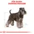 Illustration av dvärgschnauzer med texten 'För rasen: Dvärgschnauzer' ovanför. Skissade måttlinjer runt hunden. Royal Canin-symbol längst ner.