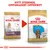 Royal Canin Cocker Puppy