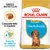 Embalagem Royal Canin Puppy Dachshund. Texto visível: 'Croquete feito à medida', 'Suporte do sistema imunitário', 'Breed Nutrition'. Imagem de croquete e cão da raça dachshund.