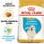 Royal Canin Puppy Golden Retriever hondenvoer, tekst: Specifiek afgestemde brokken, Ondersteunt de natuurlijke afweer, afbeelding van brok en schild met bacteriën. Royal Canin Puppy Golden Retriever hondenvoer, tekst: Specifiek afgestemde brokken, Ondersteunt de natuurlijke afweer, afbeelding van brok en schild met bacteriën.