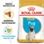 Royal Canin Puppy Pug -koiranruokapakkaus, tekstit: Räätälöity kuivanappula, Immuunijärjestelmän tuki. Kuvassa pentumopsi ja nappulan muoto.