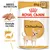 ROYAL CANIN ADULT Chihuahua 85g x12, obrázek psa, text: BREED NUTRITION, Granule na míru, Zdraví srsti, vyobrazení krmiva a symbol zdravé srsti.