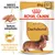 Royal Canin Adult Dachshund 85g x12, textura adaptada, mantenimiento de huesos y articulaciones. Imagen del producto con perro salchicha y comida húmeda en plato.