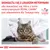 SKONSULTUJ SIĘ Z LEKARZEM WETERYNARII aby dowiedzieć się, która z karm weterynaryjnych ROYAL CANIN jest odpowiednia dla Twojego kota. VETERINARY NUTRITION.