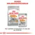 Royal Canin Coat Care MINI tørfoder og Coat Care ALL SIZES vådfoder til hunde. Tekst: Hunde Ernæringsprogram. Den perfekte kombination af vores tør- og vådfoder.