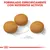 Tres croquetas redondas de pienso junto al texto: FORMULADO ESPECÍFICAMENTE CON NUTRIENTES ACTIVOS. Escala visible indica tamaño aproximado de 1 cm.