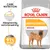 Royal Canin Medium Dermacomfort