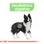 Ilustración de un perro con el texto 'Sensibilidad digestiva' destacado en la parte superior y un círculo verde señalando el abdomen del animal.