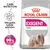 ROYAL CANIN EXIGENT MINI kutyatáp csomagolás, válogatós kutyák számára. Bizonyított eredmények: akár 99%-os elégedettség. Hosszú szőrű kistestű kutya képe.