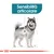 Illustrazione di cane con testo 'Sensibilità articolare' e indicazione visiva sull'articolazione della zampa posteriore.