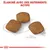 Trois croquettes carrées, indication de taille 1 cm, texte visible : « Élaboré avec des nutriments actifs »