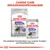 Royal Canin Sterilised Mini Trockenfutter und Sterilised All Sizes Feuchtnahrung. Perfekte Kombination für sterilisiertes Hundegewicht, reduziert Kalorien um -14%.