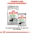 Royal Canin Digestive Care torrfoder MINI och våtfoder ALL SIZES, text: CANINE CARE PRODUKTSORTIMENT. En perfekt kombination av våra torr- och våtfoder.