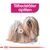 Illustration av långhårig hund med texten 'Tillfredsställer aptiten' i rosa ruta ovanför. Royal Canin-krona synlig längst ner.