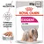 Royal Canin Exigent All Sizes, paté para perros, pack de 12 sobres de 85 g. Satisface el apetito exigente. Imagen de perro pequeño de pelo largo en el envase.