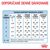 Royal Canin Babydog Milk