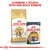 Instructional image showing Royal Canin Bengal dry food and Intense Beauty pouch with text: Combine 1 pouch with her daily kibbles.