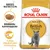 Royal Canin Adult British Shorthair -kuivaruokapakkaus, tekstit: räätälöity kuivanappula, auttaa ylläpitämään lihaskuntoa, BREED NUTRITION, harmaa kissa kuvassa