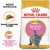 ROYAL CANIN Kitten British Shorthair, croquette visible, texte allemand : Speziell angepasste Krokette, Harmonisches Wachstum von Muskeln und Knochen. Chaton gris sur l’emballage. ROYAL CANIN Kitten British Shorthair, croquette visible, texte allemand : Speziell angepasste Krokette, Harmonisches Wachstum von Muskeln und Knochen. Chaton gris sur l’emballage.